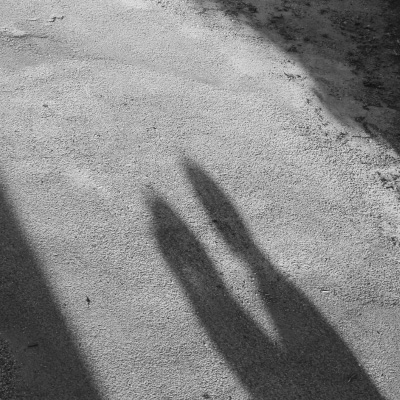 http://www.stravingo.fr/images/couple_amoureux_t.jpg